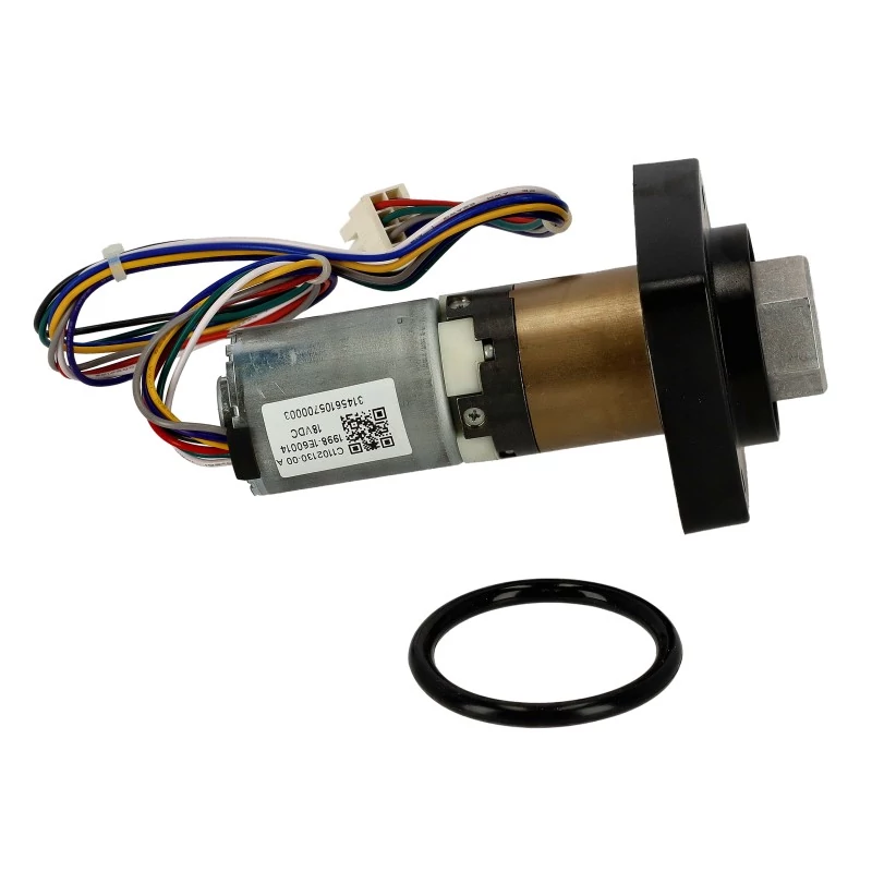 lubeka-kert-4432968