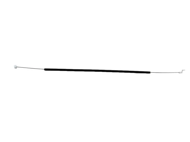 lubeka-kert-4451776