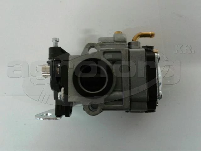 lubeka-kert-4465290