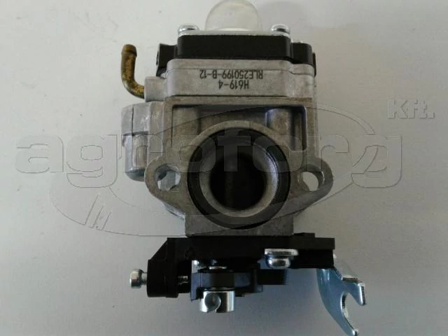 lubeka-kert-4465800