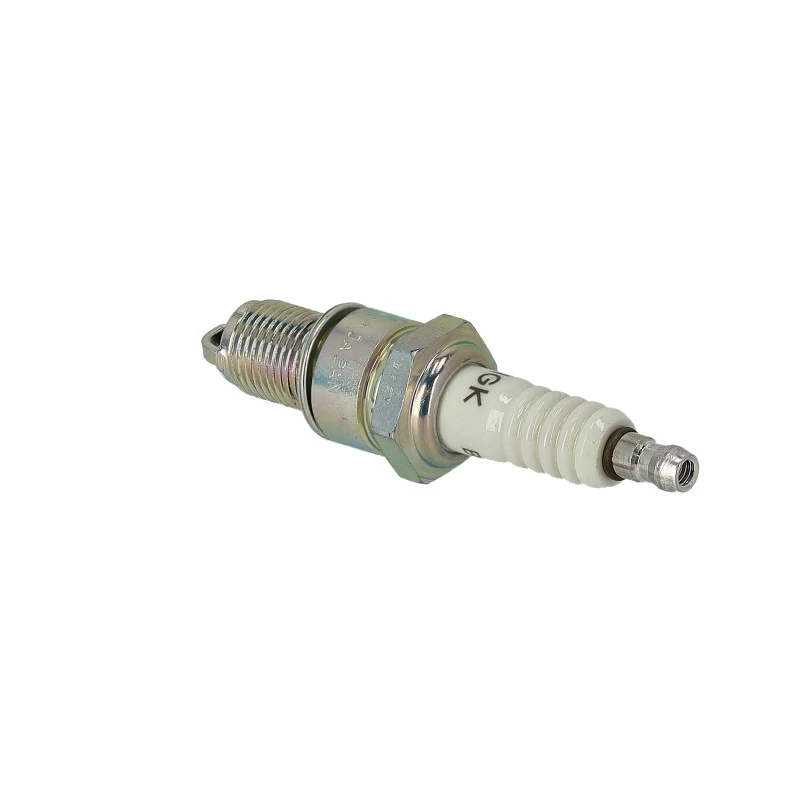 lubeka-kert-4470604