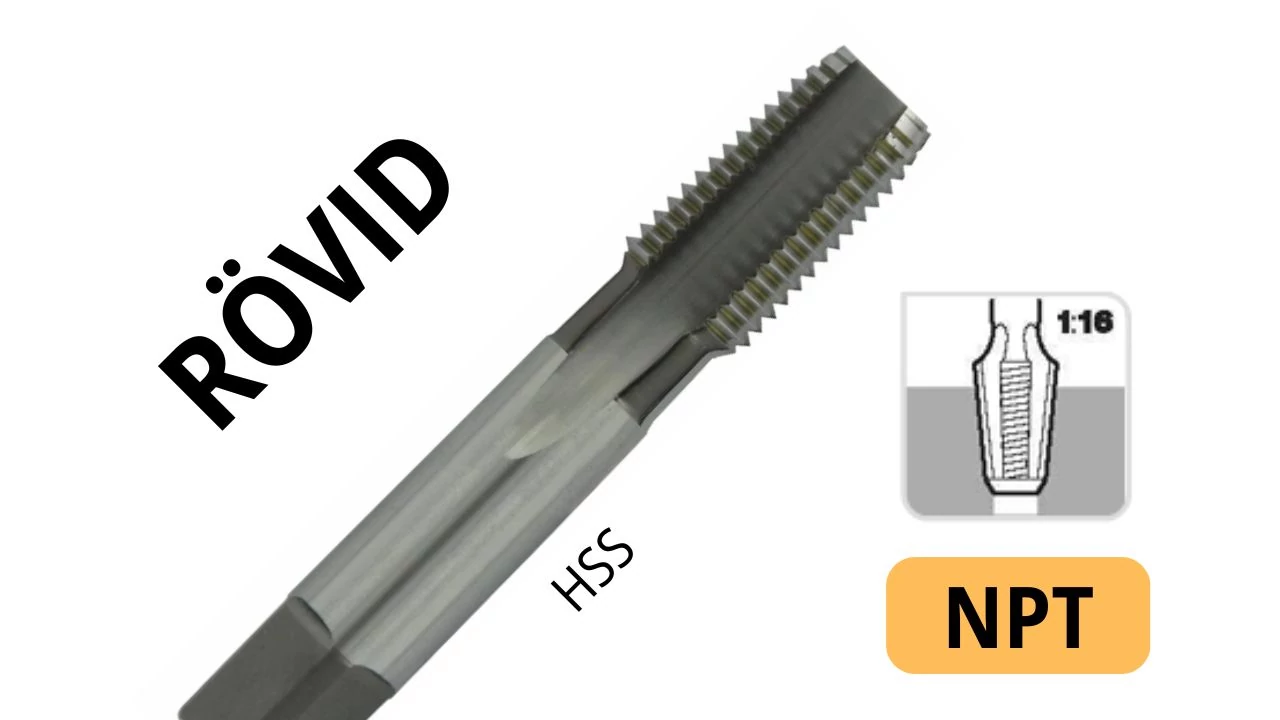 perfor-4340008