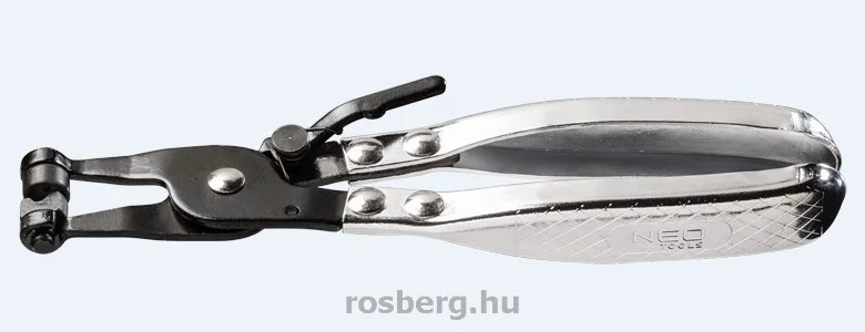 rosberg-4424483
