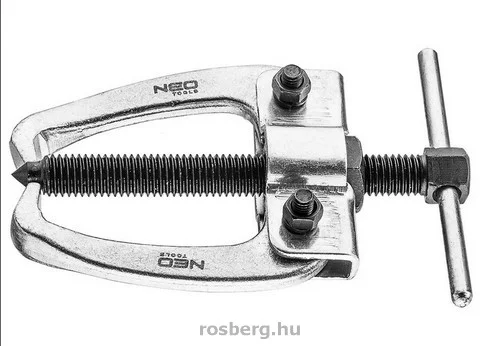 rosberg-4425229