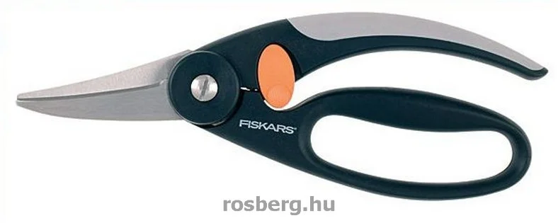 rosberg-4480626