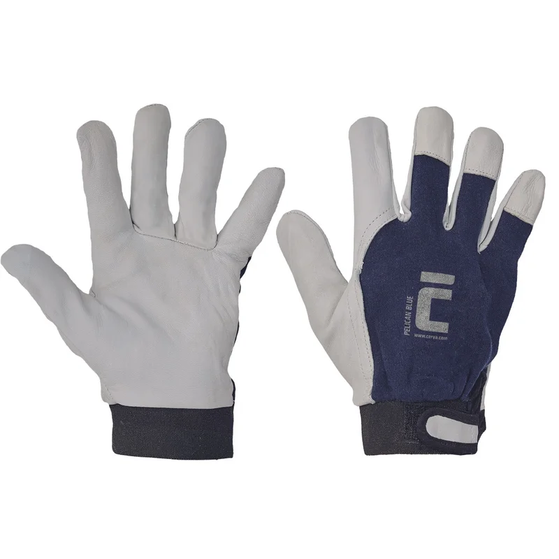 rosberg-4484635
