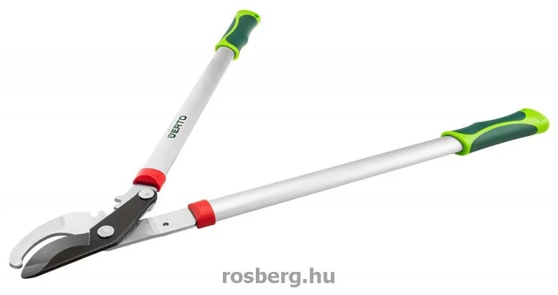 rosberg-4485302