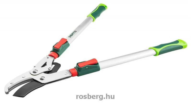 rosberg-4485320