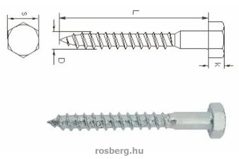 rosberg-4485752